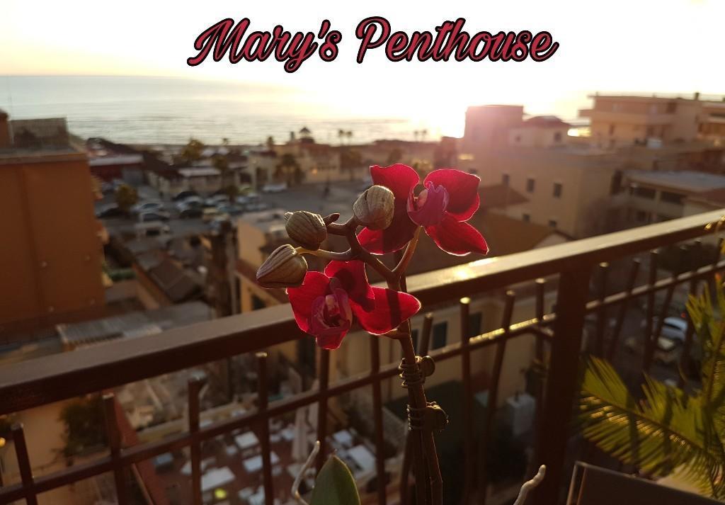 丽都迪奥斯蒂亚Mary'S Penthouse公寓 外观 照片